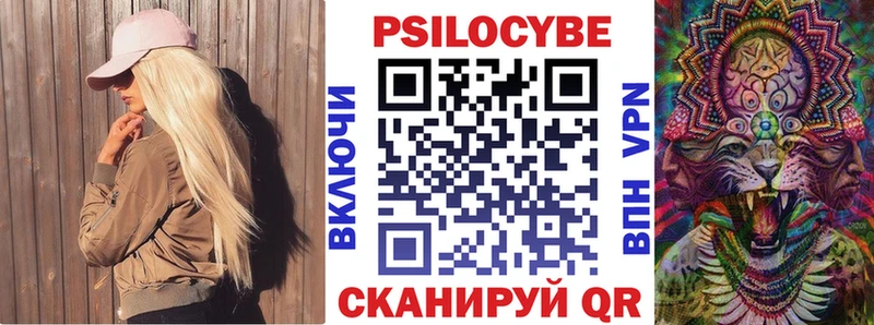 где продают   Таруса  Псилоцибиновые грибы Psilocybe 