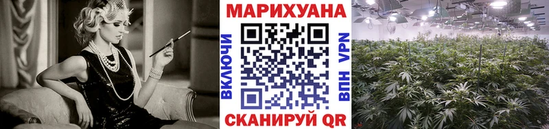 кракен зеркало Таруса Бошки марихуана White Widow